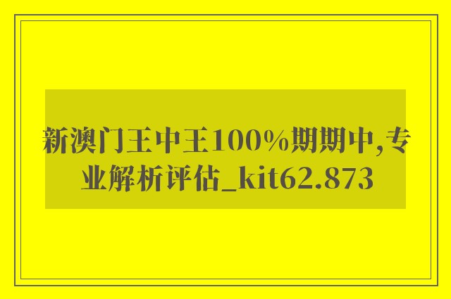 新澳门王中王100%期期中,专业解析评估_kit62.873