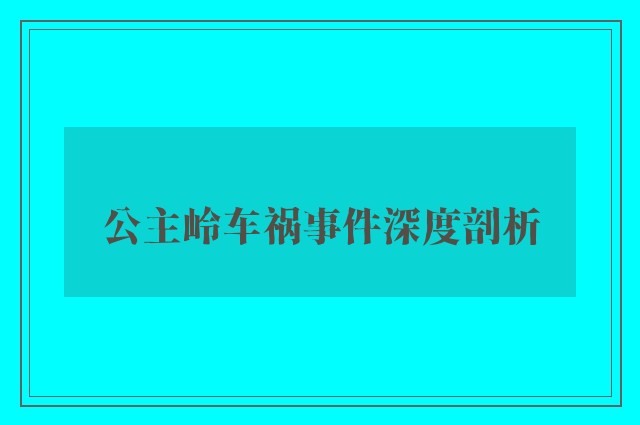 公主岭车祸事件深度剖析